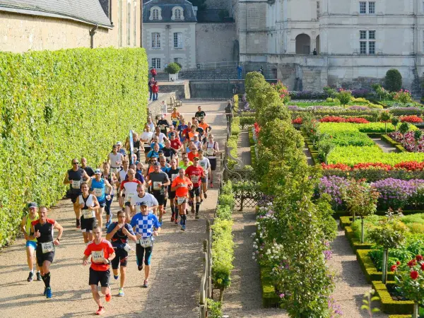 Der Marathon Touraine Loire Valley - Ereignis in Tours