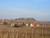 Zellenberg vu des vignes de Riquewihr (© Jean Espirat)