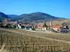 Vignoble de Riquewihr (© Jean Espirat)