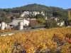 Ver Gigondas, viñedos y Clos Torretas