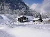 Au Bois de Lune - Holiday & weekend hotel in Châtel