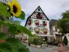 La Bonne Franquette - Hotel Urlaub & Wochenende in Villé