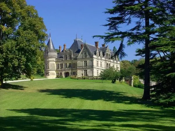 Château De La Bourdaisière - Hotel vacanze e weekend a Montlouis-sur-Loire