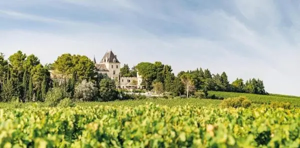 Château Les Carrasses - Hôtel vacances & week-end à Capestang