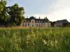Chateau La Touanne Loire valley - Hôtel vacances & week-end à Baccon