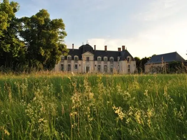 Chateau La Touanne Loire valley - Hotel vacanze e weekend a Baccon