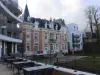 DOMITYS LE PARC DES AUBIERS - Hotel vakantie & weekend in Poissy