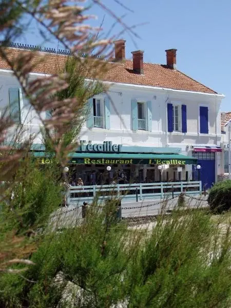 Hôtel L'Ecailler - Hotel vakantie & weekend in La Cotinière