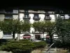 Hôtel de Londres - Hotel vakantie & weekend in Mont-Dore