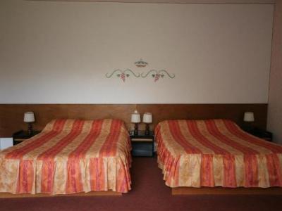 Hotel Relais Paris Bale Hotel Relais Paris Bale