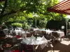 Hotel Restaurant Aux Sapins - Hotel vakantie & weekend in Thann