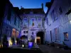 Hotel Saint Georges - Hotel vacanze e weekend a Troyes