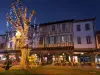 La Maison des Consuls - Hotel Urlaub & Wochenende in Mirepoix