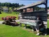 Résidence SoAnSa du Gérardmer - Col de la Schlucht - Hotel vacanze e weekend a Soultzeren