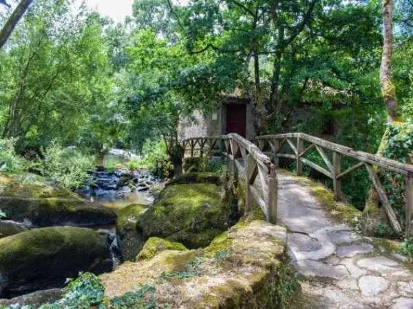 Village de Gîtes du Moulin Neuf - Hotel vakantie & weekend in Gétigné