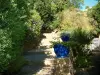 Борм-ле-Мимоза - Ступенчатая аллея, синие горшки, растения и кустарники