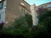Борм-ле-Мимоза - Деревенские дома с бугенвиллеями, растениями и цветами
