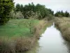 Венде Бретон болото - Небольшой канал (водный путь) с деревьями и лугами