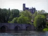 Лимож - Река (la Vienne), мост Сент-Этьен, деревья и собор Сент-Этьен в готическом стиле, доминирующий над всем