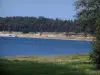 Озеро Сен-Ферреоль - Бассейн, банки и деревья