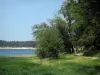 Озеро Сен-Ферреоль - Берег с деревьями и прудом