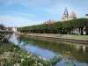 Паре-ле-Monial - Река Бурбенс, выравнивание деревьев, башен и восьмиугольной колокольни базилики Сакре-Кер, а также роз (роз) на переднем плане