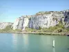 Пейзажи Дром - Известняковые скалы ущелья Донзер с видом на реку Рону