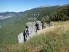 Пейзажи Дром - Региональный природный парк Веркор: вид на зеленые горы