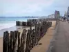 Прибрежные пейзажи Бретани - Изумрудный берег: пляж с деревянными сваями, набережная, здания и дома, граничащие с пляжем и морем, в Сен-Мало