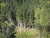 Региональный природный парк Haut-Jura - Массив Юра: деревья леса