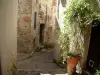 Святой Агнессы - Причудливый булыжный переулок с вьющимся растением