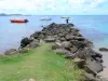 Сент-Люс - Скала и Карибское море с лодками