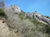 Ущелья Пьер-Лис - Каменные стены и растительность