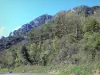 Ущелья Пьер-Лис - Зеленый пейзаж ущелий