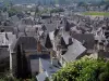 Шинон - Вид на крыши домов