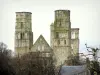 アビージュミエージュ - ノートルダム大聖堂、木々、曇り空の遺跡