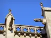 カルカソンヌ - 聖ナザレ大聖堂のガーゴイル