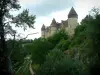 クラン城 - 木々に囲まれた要塞