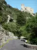サントボーム峡谷 - 道路峡谷を見下ろす城の封建サンモンタン