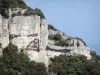 サントボーム峡谷 - 岩壁と植生