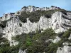 サントボーム峡谷 - 岩壁と植生