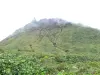 スーフリエール - 火山の頂上とその緑の斜面の眺め
