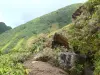 スーフリエール - 火山の緑の斜面