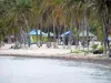 デシレード - ココヤシの木とカーペットでフィフィのビーチで表示します。