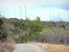 デシレード - 風力タービンを見下ろす山の道、植生が並ぶ