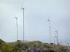 デシレード - 山の高原に腰掛けている風力タービン