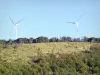 ドロームの風景 - 木々の間の分野で風力タービン