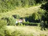 ドロームの風景 - 木の真ん中に、牧草地の小さな家