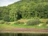 パネシエール湖 - 人工湖（Pannecière-Chaumard湖貯水池）、水草、木が植えられた堤防。 Morvanの地域自然公園で