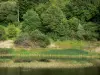パネシエール湖 - 人工湖（Pannecière-Chaumard湖 - 貯水池）、水生植物、および木が植えられた銀行モルバンの地域自然公園内